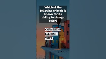 Mind-Blowing questions ! Can You Get 10/10? #quiz #quizzes #quiztime #riddle #trivia #quiz #riddle