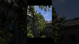 Southeast Missouri State University Academic Hall 360 Orbit #stopmotion #stopmotionanimation
This is a 360 rotation of the Academic Hall at Southeast Missouri State University in Cape Girardeau, Missouri I made back in 2017. I took and edited all the pictures myself (59 in all). I planned this out by using Google Maps and I made sure all photos were taken 250 feet from the dome of the building.
I got the idea to do this from this video:
https://vimeo.com/55832096
Check out my other work at:
http://www.drewrampley.com Southeast Missouri State University Academic Hall 360 Orbit #stopmotion #stopmotionanimation