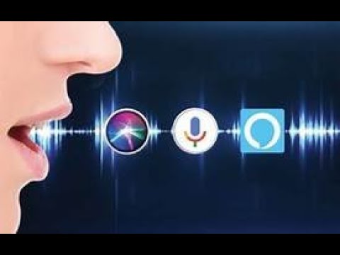 Python module using voice assistant.