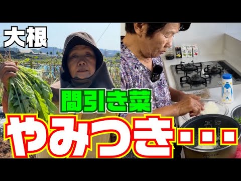 おかわりが止まらない！】美味しくて身体に良い最高の食材の間引き菜