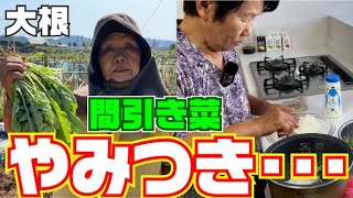 確認用、露地間引き大根菜 mqdefault.jpg