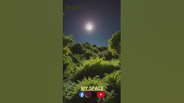 تلاوة من سورة لقمان بصوت القارئ الشيخ ياسر الدوسري. 🌿📖 #لايك #راحة_نفسية #رمضان #لايك