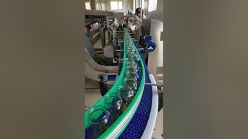 cucumber weighing and filling machine