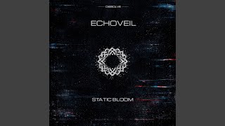 STATIC BLOOM