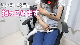 ママがツンデレな猫を抱っこします！