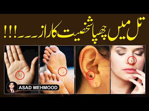 Mole Animal Meaning In Urdu