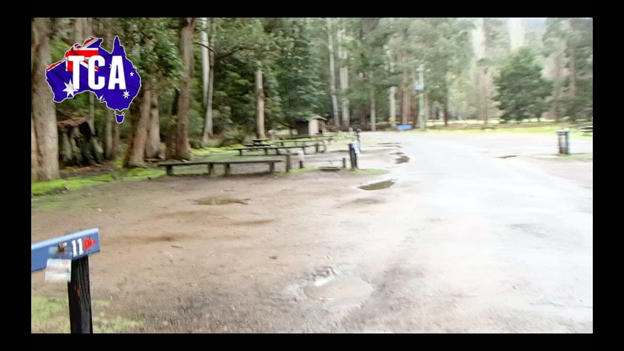 Mount Field Campground TAS