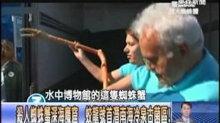 【關鍵時刻2200】殺人蜘蛛蟹深海魔窟 蛟龍號首潛南海冷泉古菌區！1020618