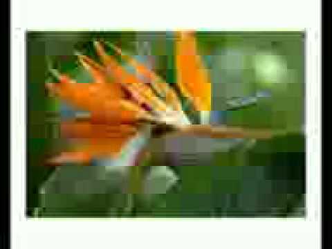  انت وبس الى حبيبي اموت فيك