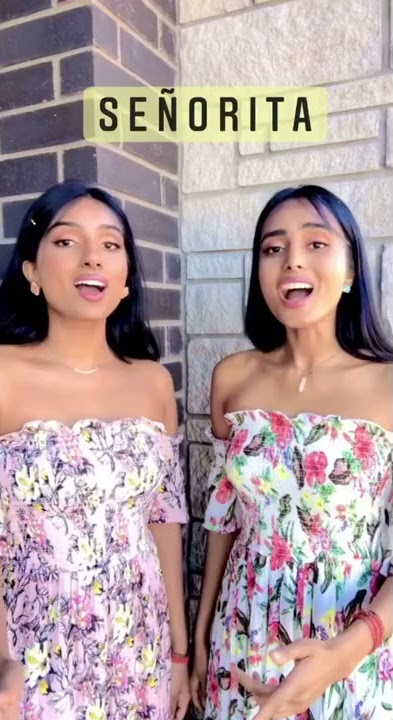 Señorita cover | n X t - sister duo #shorts
