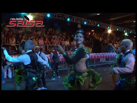 Revista Salsa