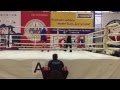 Hard knockout aleksei dmitriev blue corner
