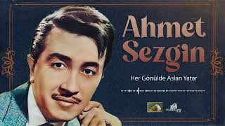 Ahmet Sezgin - Her Gönülde Aslan Yatar (1969) Resimi