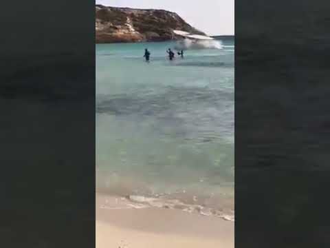 Lampedusa Sbarco Sullisola Dei Conigli La Situazione Sta Degenerando