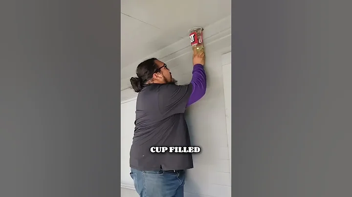 The Most Clever Wasp Nest Removing