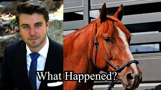 1 Man 1 Horse | The Mr. Hands Sequel Explained!