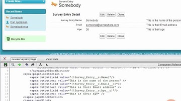 Force.com for .NET developers