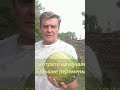 3 сентября 2025 г.