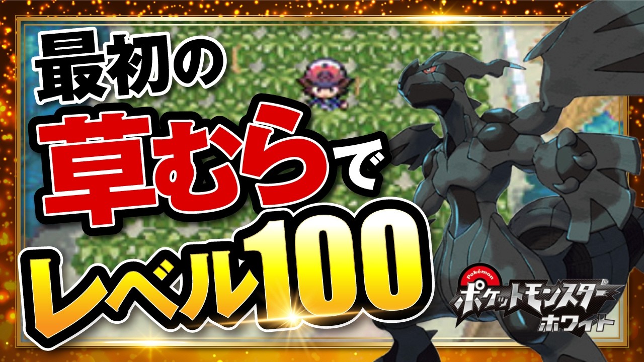 69 Level36~ひたすら最初の草むらでレベル上げ ポケットモンスター