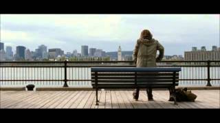 Mr. Nobody & The Fairies' dream