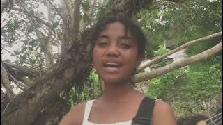Bertaut || Nadin Amisah || Nadia Anagewa cover
