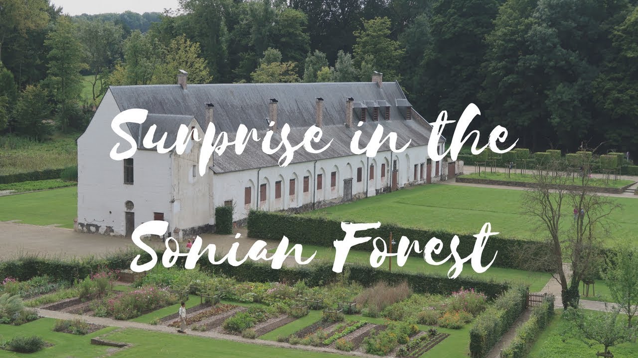 Surprise in the Forest -  Auderghem - Visit Belgium #16/589