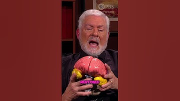 Unlock Better Sleep: Boost Your Brain Function