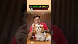 अगर आपके  पास Shih Tzu है तो ये Video Skip मत करना❗️