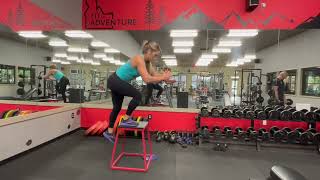 Bodyweight High Step ups