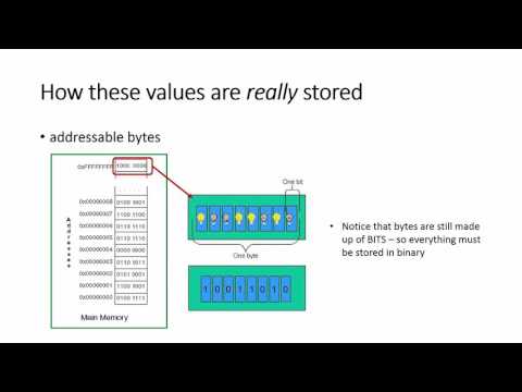 CISC 130: Introduction to Representation