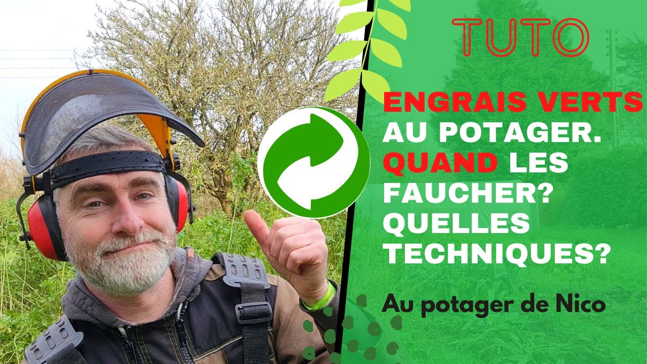 Les engrais verts sont bons à faucher 😅 - Pourquoi maintenant et comment les couper?