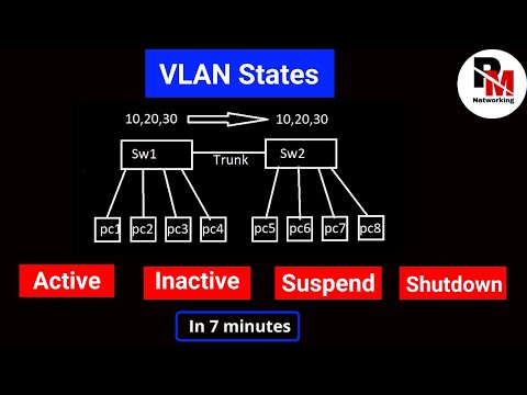 VLAN States | VLAN Status | Active, Inactive, Suspend, and Shutdown | #ccna #pmnetworking