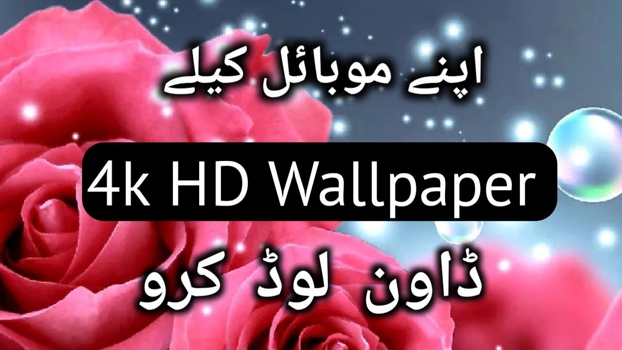 How to Download 4k HD Wallpaper For Mobile Exclusiveapp2k20 - YouTube