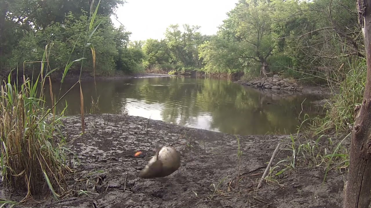 Little Sioux River Fishing Highlights on 07/02/22 YouTube