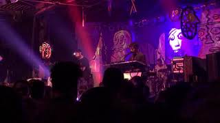 Animal Collective   Water Curses live at Cats Cradle