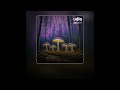 X Society Mushroom Drip in the Rain Song by Misha Music &amp; Turtle Tunes