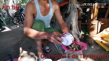 Ăn tiết Heo của người Êđê Tây Nguyên || Êa trul krông bông