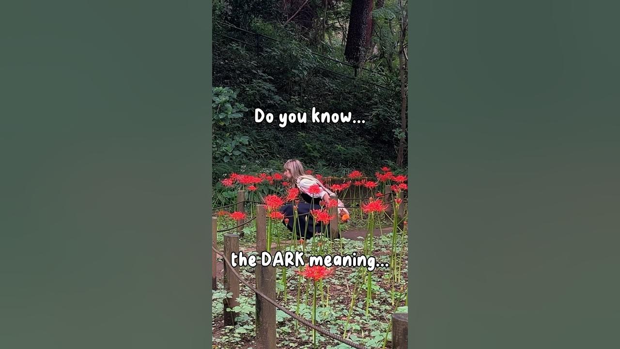 The DARK meaning behind these flowers in 🇯🇵 YouTube
