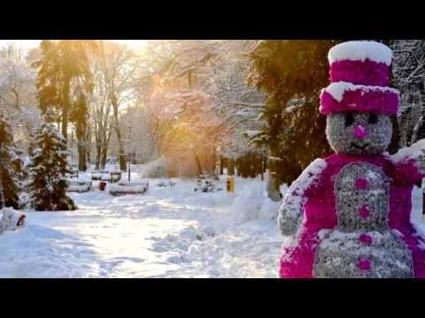 Video: Kas Ir Ziemas Laiks
