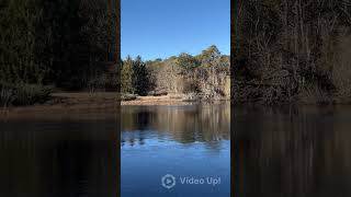 Jernegan Pond Edgartown Ma marthasvineyard