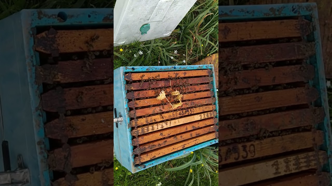 Για τους νέους.Του Βαρσάνη