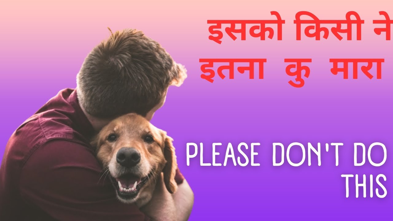 dog-not-safe-please-don-t-do-this-youtube