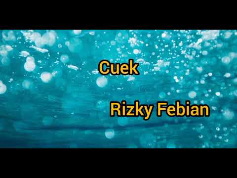 Rizky Febian -