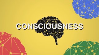 Anil Seth: Consciousness & Hallucination - Animated TED Talk (2018)