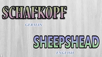 Schafkopf | Sheepshead - How to Play :  Episode 1 - Game Overview (Intro)