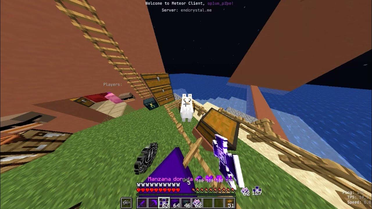 [PATCHED] how to dupe on endcrystal.me september dupe dupe on 2b2t