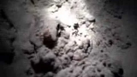 Hembree CSI
