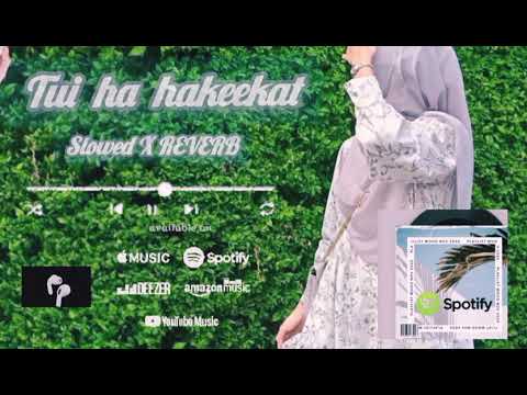 Tui hi hakeekat  ||Slowed X LOFI ||romantic songs ll Emran hasmin song // @ganna @ LOFI SONG 