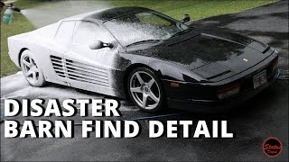 Ferrari Testarossa Barn Find Detail | Paint Correction Restoration