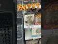 【え?】真骨彫龍騎が普通に店頭に並んでる?見つけた瞬間即購入したけど… #仮面ライダー #kamenrider #figure #figuarts #gacha #sale #shorts #csm